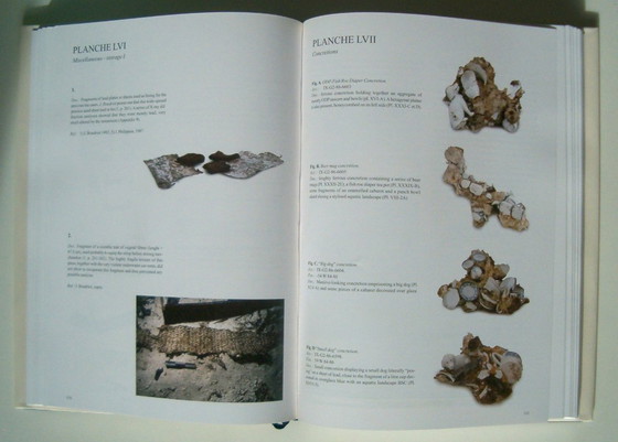 Image 1 of Griffin. Auf den Spuren eines Indianers. Franck Goddio