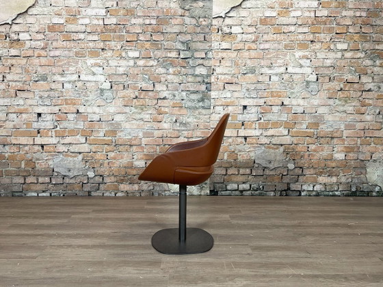 Image 1 of 6x Zanotta Eva