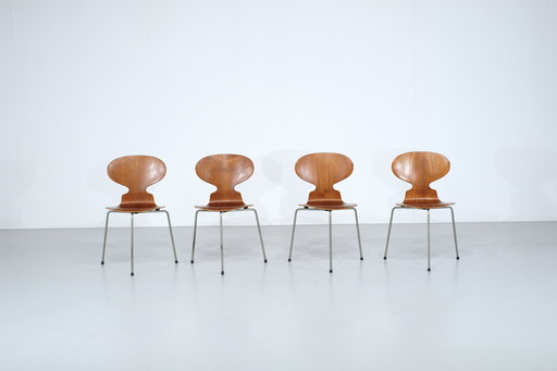Ensemble de 4 chaises Fourmi modèle 3100 en teck par Arne Jacobsen ou Fritz Hansen - années 1950