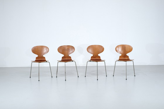 Image 1 of Set of 4 Ant Chairs model 3100 in teak by Arne Jacobsen or Fritz Hansen - 1950s