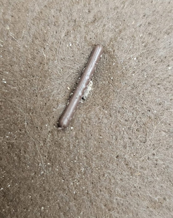 Image 1 of Sedie brutaliste - set di 4