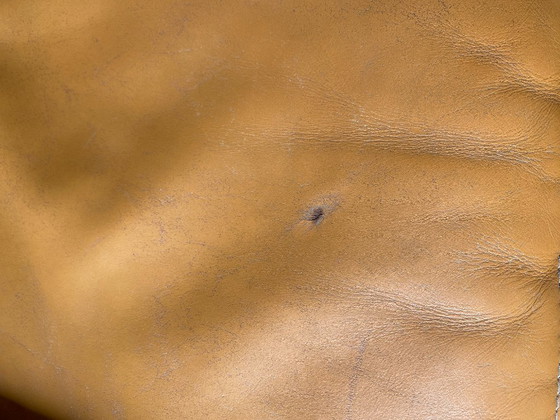 Image 1 of Roche Bobois Design Leder-Sitzgarnitur (3er, 2er & Sessel) – Cognac / Havanna-Braun