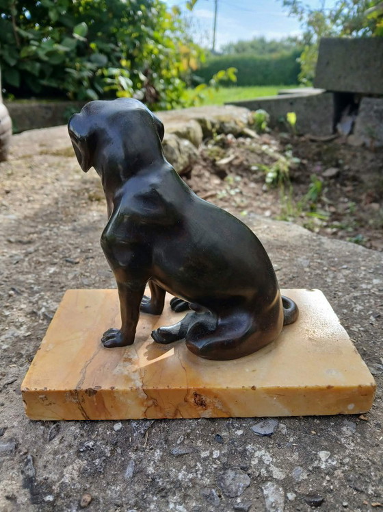 Tarjetero de Bronce Patinado, Perro con Mandíbula Articulada, Esculturas, Marrón (foto 4 de 6)