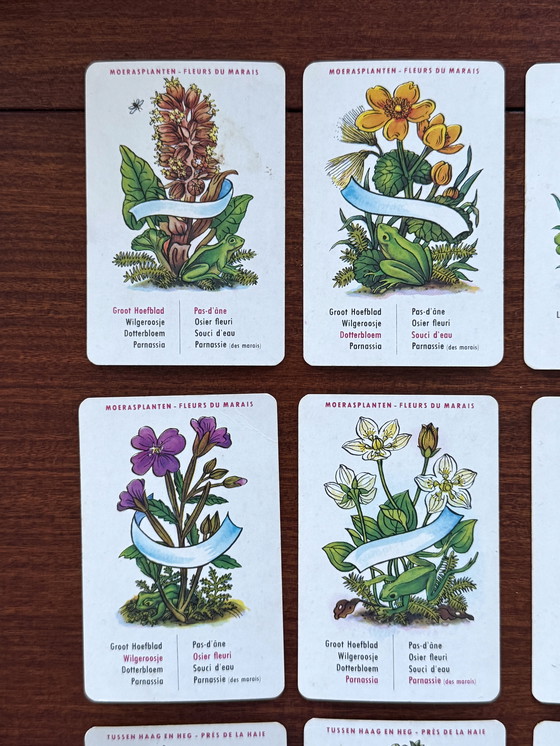 Image 1 of Vintage Bloemenkwartet Jeu de Fleurs - Diabolo 1964 – compleet