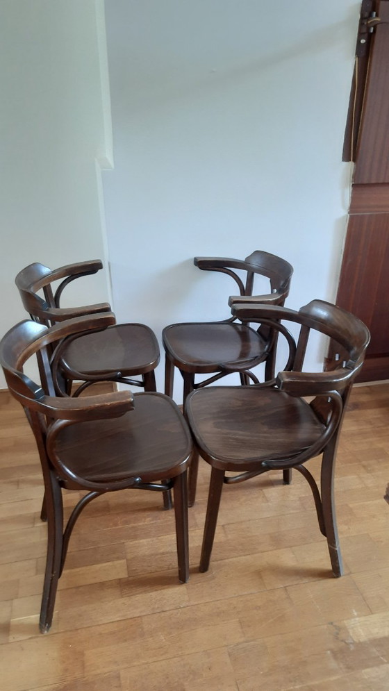 Image 1 of 4x Thonet, variante n.º 24, '70, fabricado en Rumania