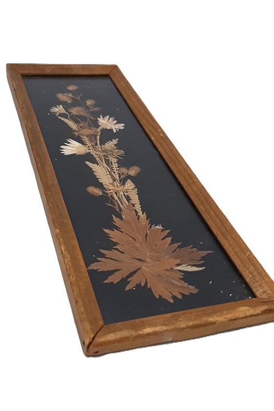 Image 1 of Cornice in legno vintage con fiori secchi naturali, erbario Edelweiss