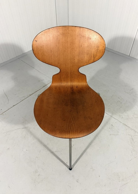 Image 1 of Silla Ant temprana de Arne Jacobsen para Fritz Hansen, Dinamarca, década de 1950