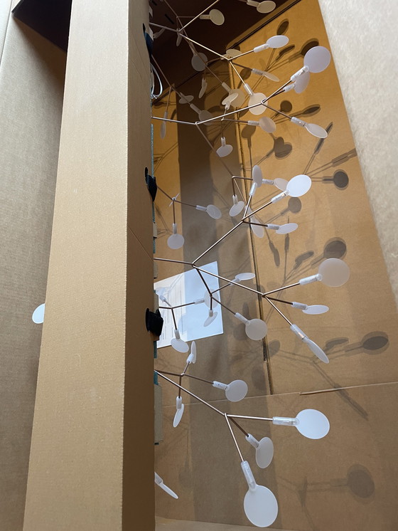 Image 1 of NUOVA lampada lineare Heracleum III di MOOOI