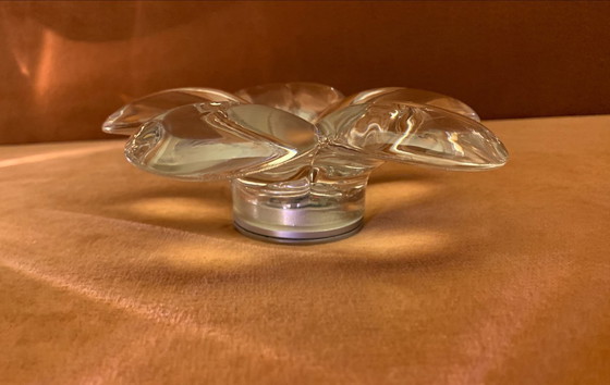 Image 1 of Lampade da parete Flower - Marcel Wanders - Flos - da esterno