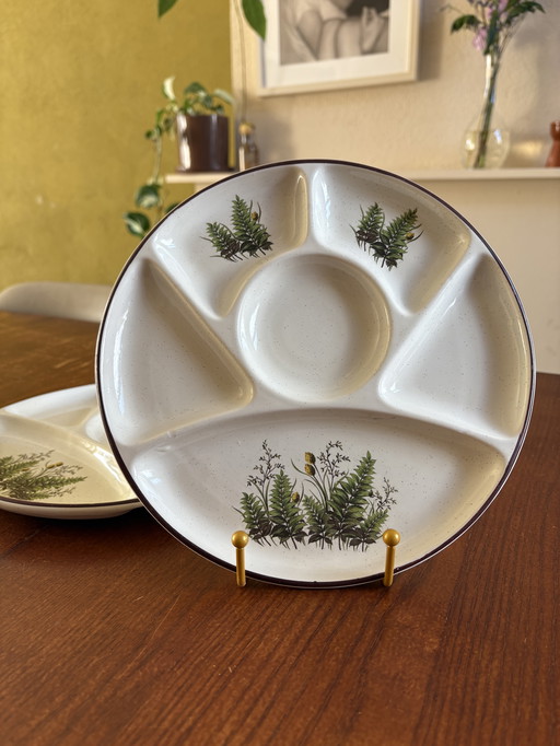 Vintage Botanical Fondue Plates