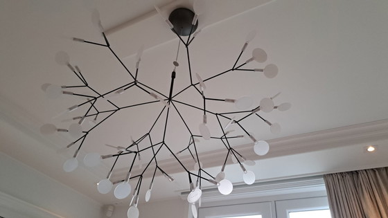 Image 1 of Hängeleuchte Moooi Heracleum III Klein Nickel