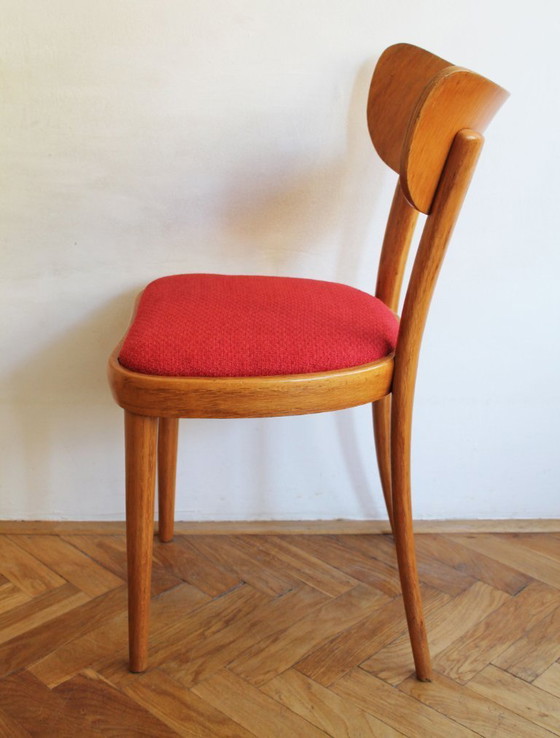 Image 1 of Juego de cuatro sillas de comedor Thonet, finales de la década de 1940