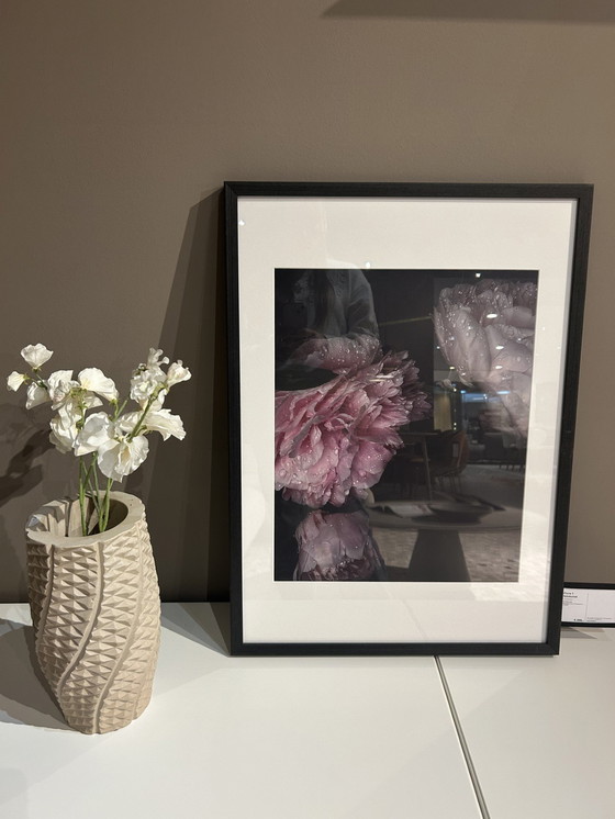 Image 1 of Boconcept - Fauna 1 Art Gallery