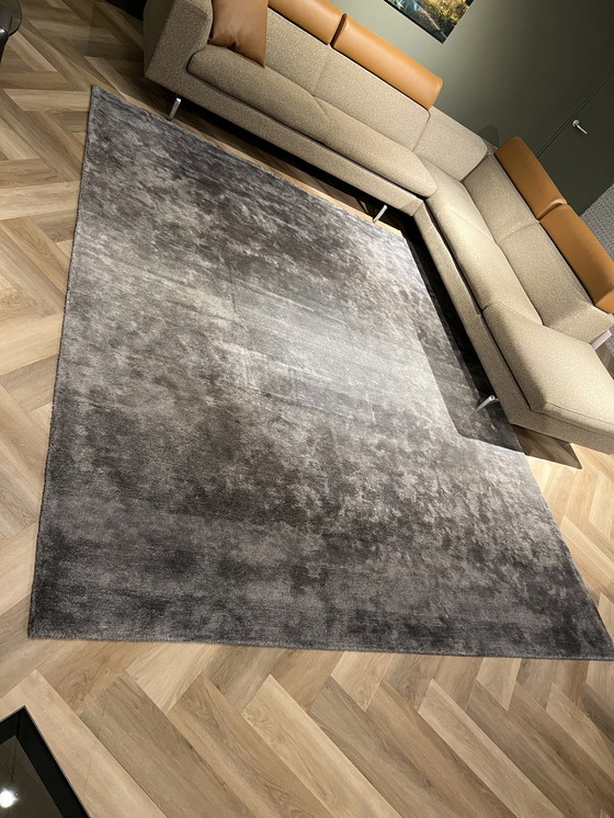 Image 1 of Munk Carpets Como rug - 250x300