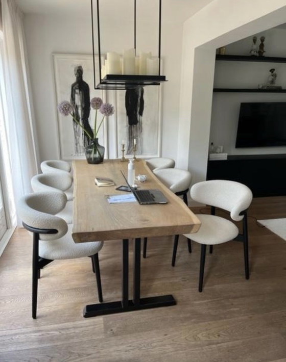 Image 1 of 6 sedie Calligaris Oleandro