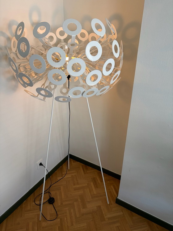 Dandelion Stehleuchten Richard Hutten – Moooi, Metall, Kunststoff (photo 5 of 10)