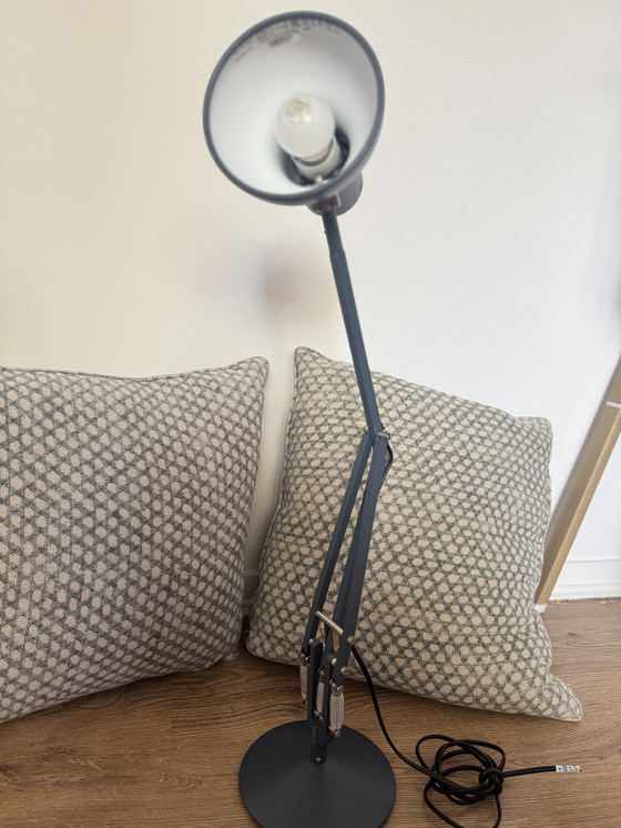 Image 1 of 30 x Anglepoise Type 75 Mini Bureaulamp