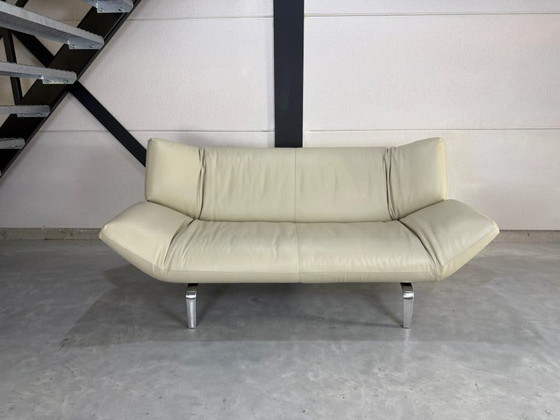 Divano Leolux Devon 2,5 posti - Pelle Wapiti Alba – Divani 2 posti, polished steel (photo 2 of 10)