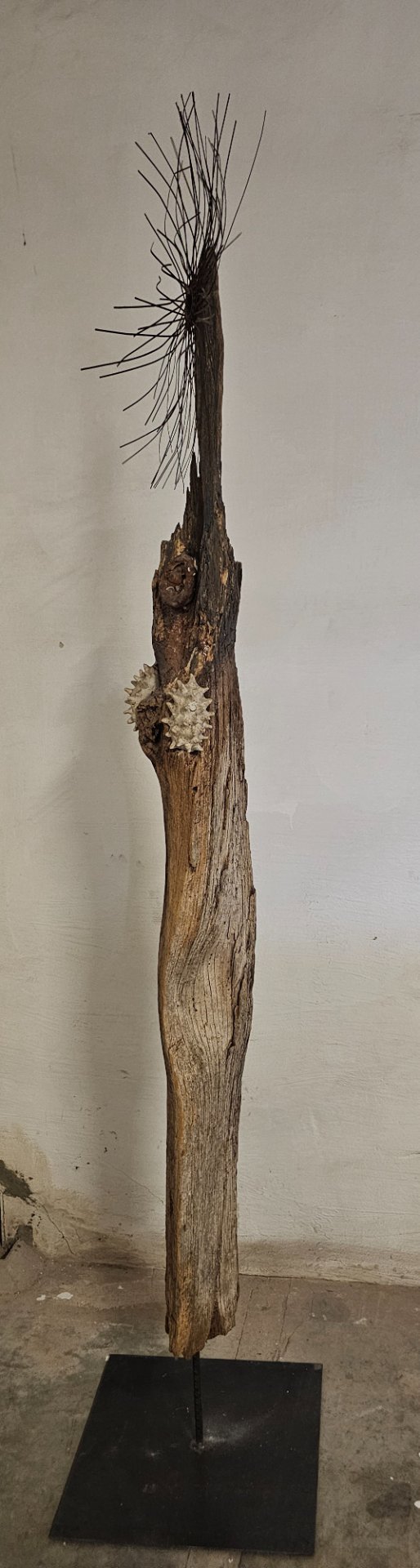 Soul of the Sea - 2.10m Large Driftwood Sculpture / Maritime Guardian – Metal (photo 2 of 5)