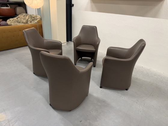 4 Leolux Lirio Esszimmerstühle braunes Leder (Foto 21 von 25)