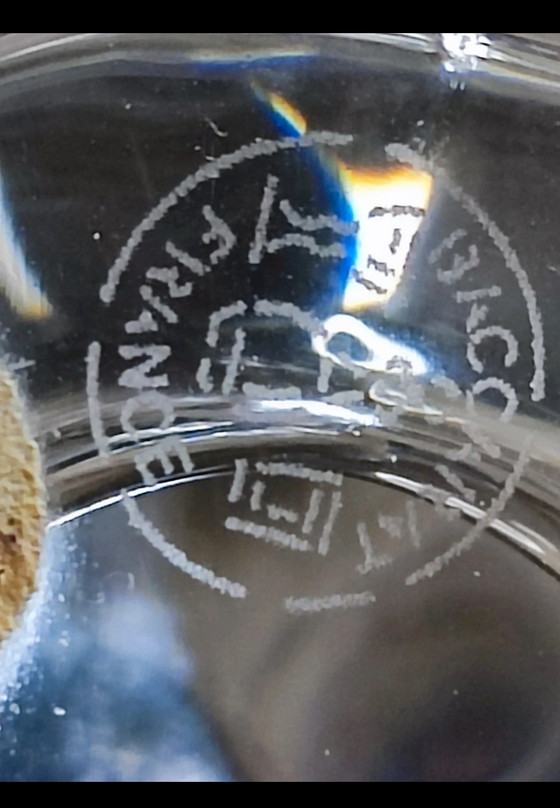 Image 1 of Perruche Baccarat