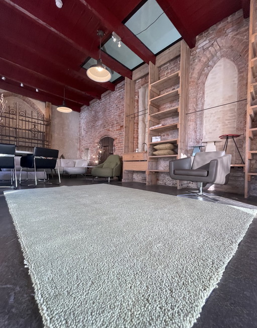 Brink en Campman Basalt carpet light green NEW