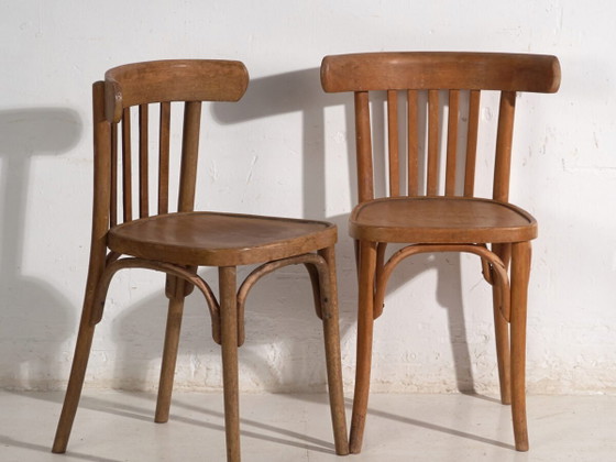 Pair of Thonet style bentwood chairs with low back – Central Europe, circa 1920 – Dining chairs (photo 2 of 40)
