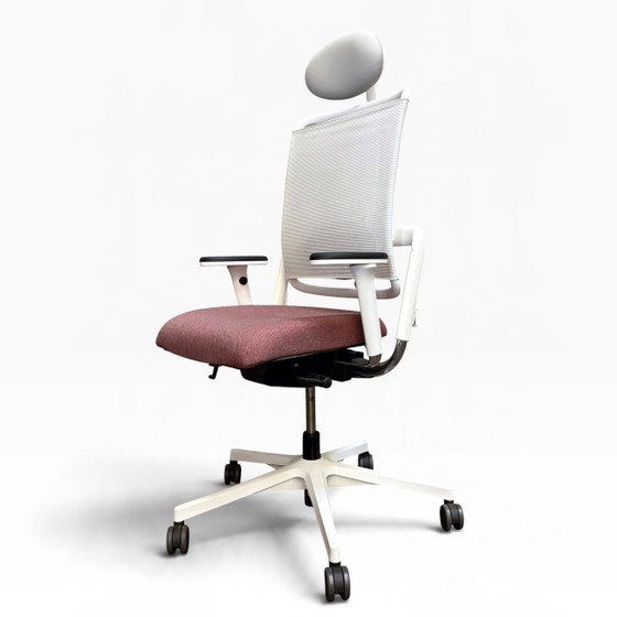 Grahl Xenium EN1335 e NPR1813 nuovo – nowystyl, Sedie da ufficio, Plastica, Tessile (photo 5 of 10)