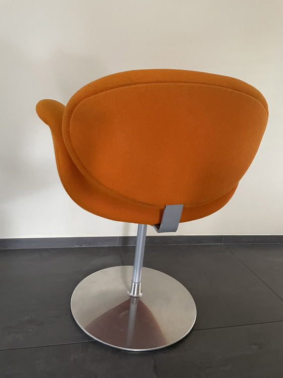 Image 1 of 4 x Tulip Artifort.