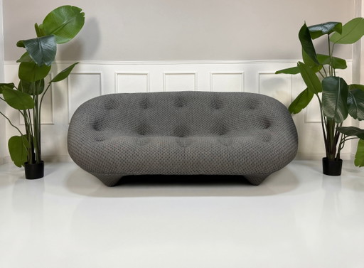 Ligne Roset Ploum Designbank Grau Stoff