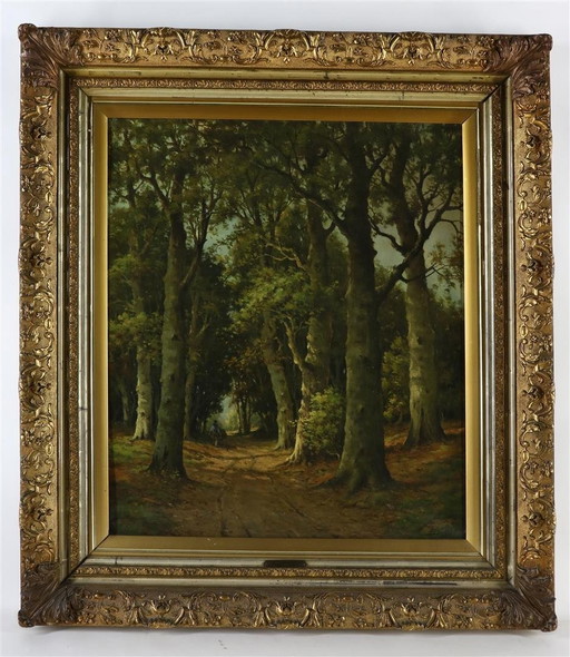 A.M. Geijp
