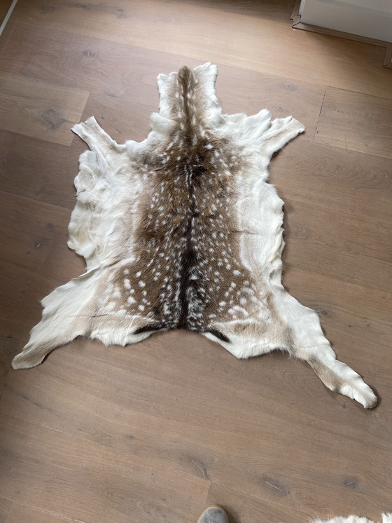 Image 1 of Damhertenhuiden wintervacht