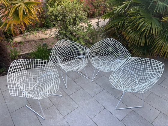 Image 1 of Bertoia Diamond Knoll vintage white armchairs - iconic design