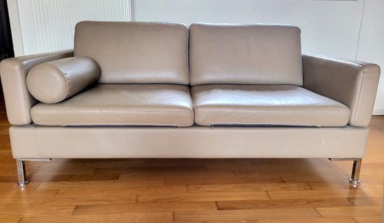 Image 1 of Brühl Ledersofa