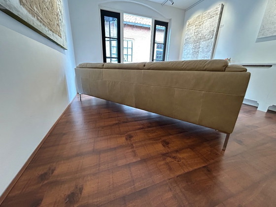 Image 1 of Banc Bern, 3 places Cuir Olive clair 0691, pied en acier inoxydable