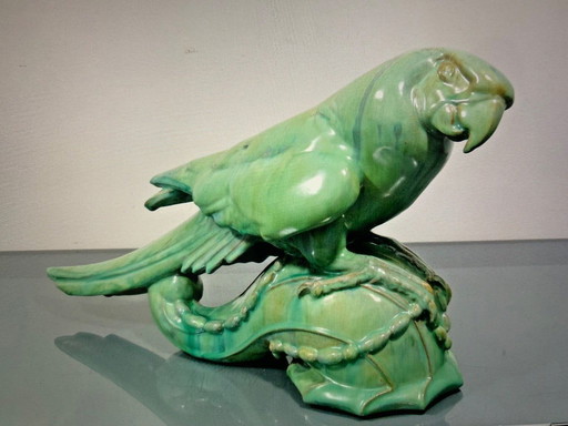 Neuenhausen 1920 Macaw Parrot Rare Item