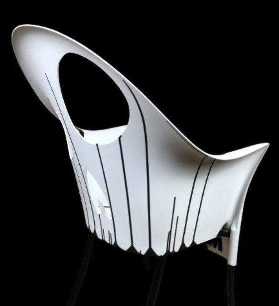 Image 1 of Seigneur Yo Manuel Fantastique