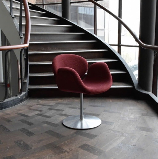 Artifort Petite Tulipe – eetkamerstoelen, Textile (photo 2 of 8)