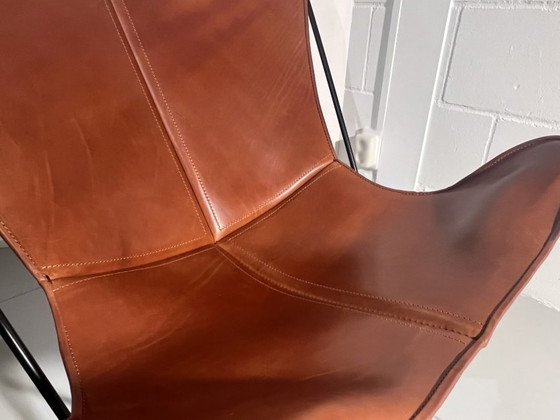 Image 1 of Cognac Papillon