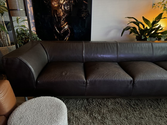 Image 1 of Montis Nindes Bank in pelle marrone