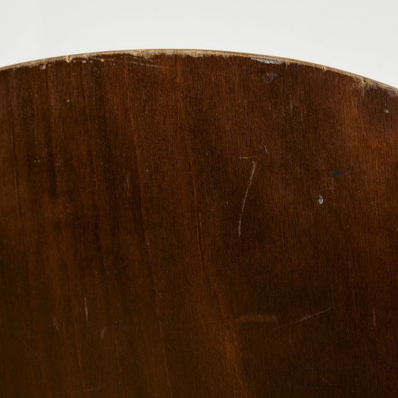 Image 1 of MK11234 Silla austriaca Wiesner-Hager