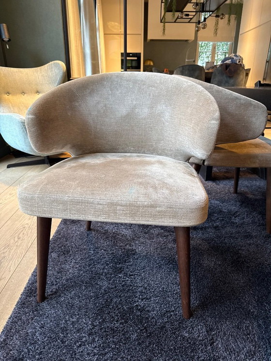 Image 1 of Sillas de comedor Minotti Aston 6x