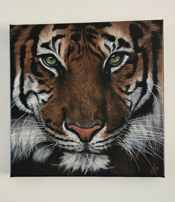 Image 1 of Handmade acrylic painting tiger "eye of the tiger"