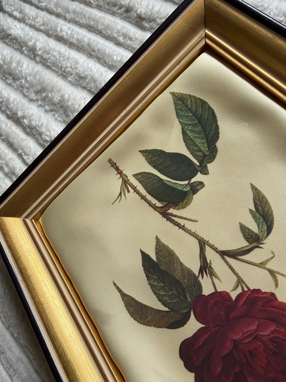 Image 1 of Peintures sur soie encadrées Style Redouté 25x20
