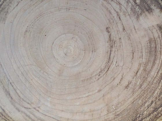 J-Line Placer de Vivir | Mesa auxiliar con forma de tronco de árbol – Mesas auxiliares, Wood (photo 5 of 8)