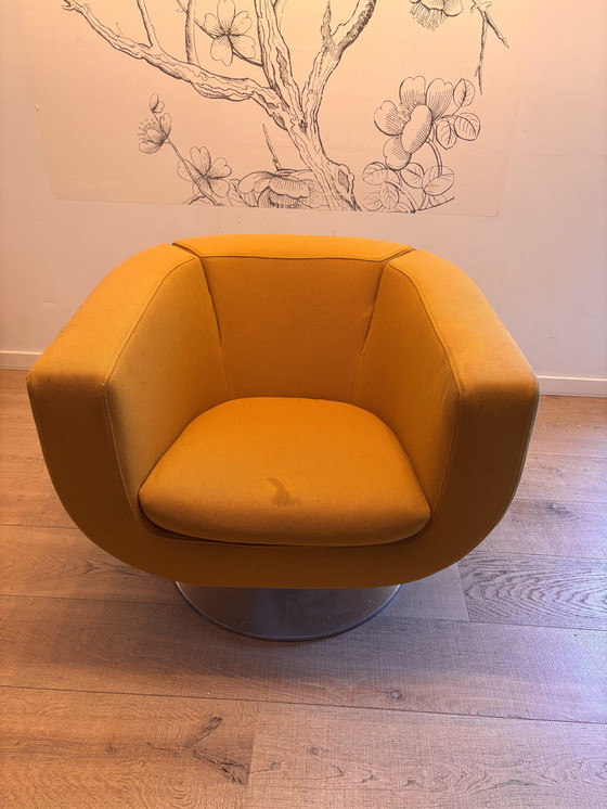 Image 1 of B&B Italia Tulip Armchair