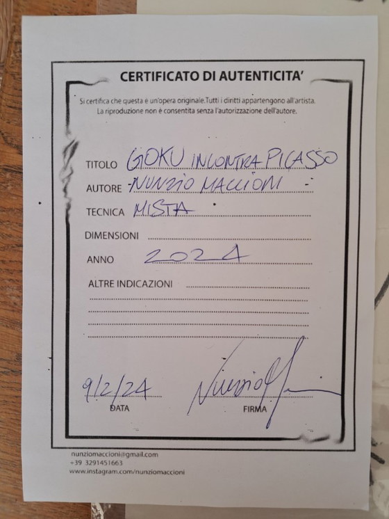 Image 1 of Nunzio MACCIONI - Goku Meets Picasso - Ingelijste kunstenaarstekening