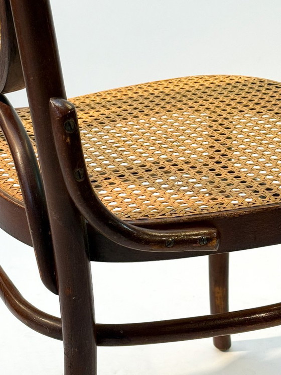 Image 1 of Dining Chairs after Thonet Model 207