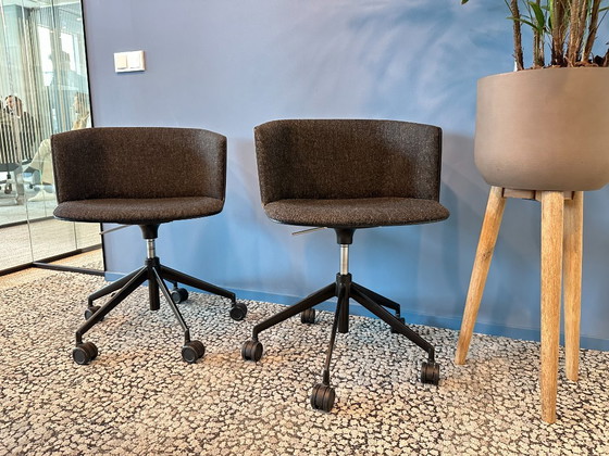 (16 piezas) Silla Lapalma Cut Design - F. Rota – Sillas giratorias, Plastic (photo 3 of 8)