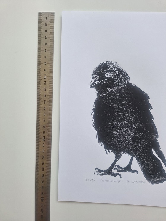 Linogravure 'Kauwtje' – Objets d'art, Papier (photo 5 of 7)